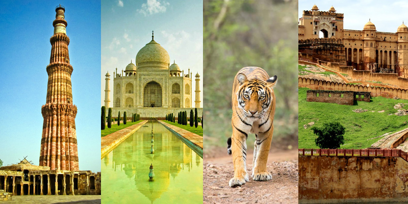 Golden Triangle with Wildlife