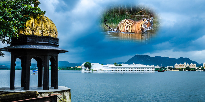 Tiger Tour with Udaipur
